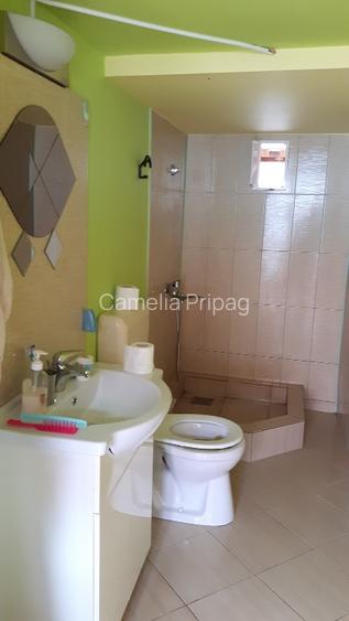 Vand teren cu casa in Utvin - 3