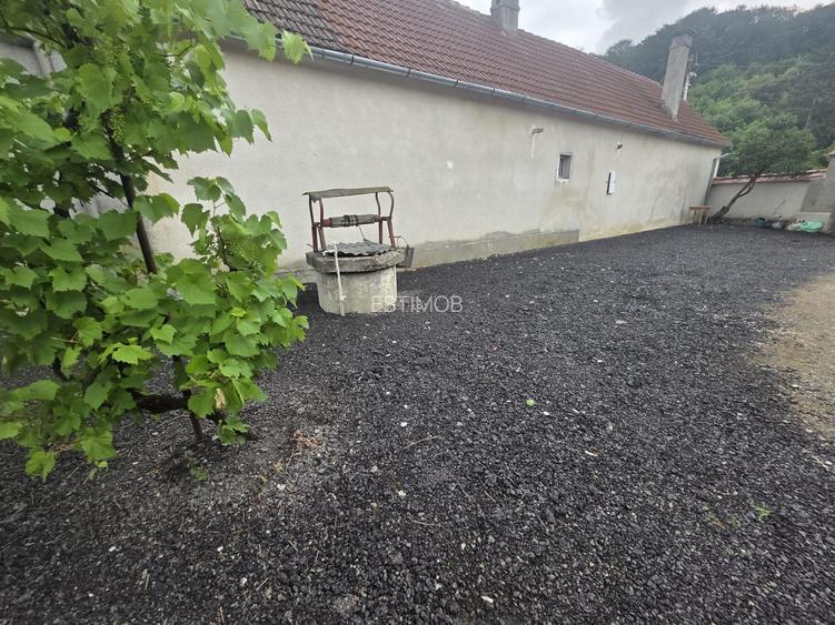 Vand casa individuala parter la intrare in Dumbravita - 10