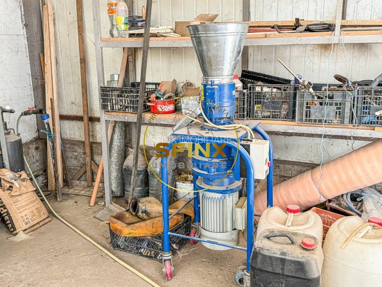 De vanzare ferma Calarasi in stare de conservare - sere - livada  - 15