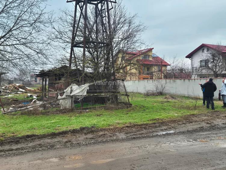 Teren Branesti Islaz Propietar - 4