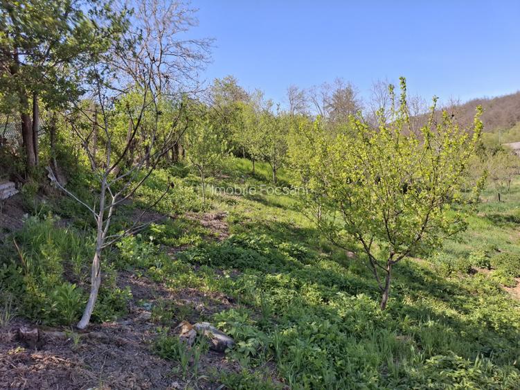 Casă de vânzare în Racoasa – 40 mp + teren 1.400 mp - 5