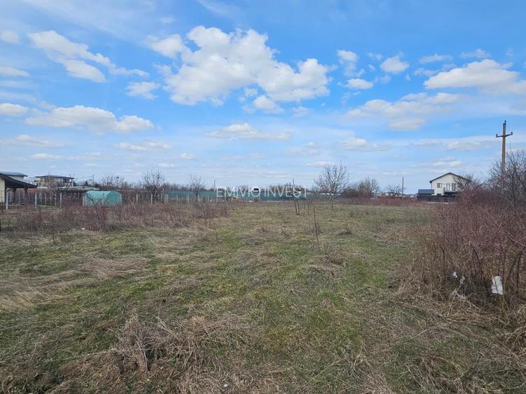 Terenuri de închiriat cu deschidere la DJ 100 – suprafețe generoase, acces TIR. - 8