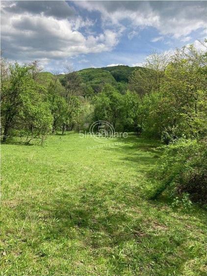 Izvoarele Valea Borului- Teren Intravilan de Vanzare- Comision 0% - 5