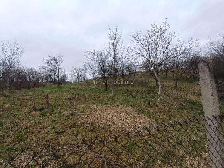 Casă renovabilă cu livadă 3000 mp | Utilități | Tibru, Alba - 4