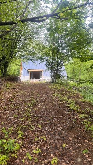 CHIUZBAIA 2CABANE cu teren de aprox. 70ari ! - 5