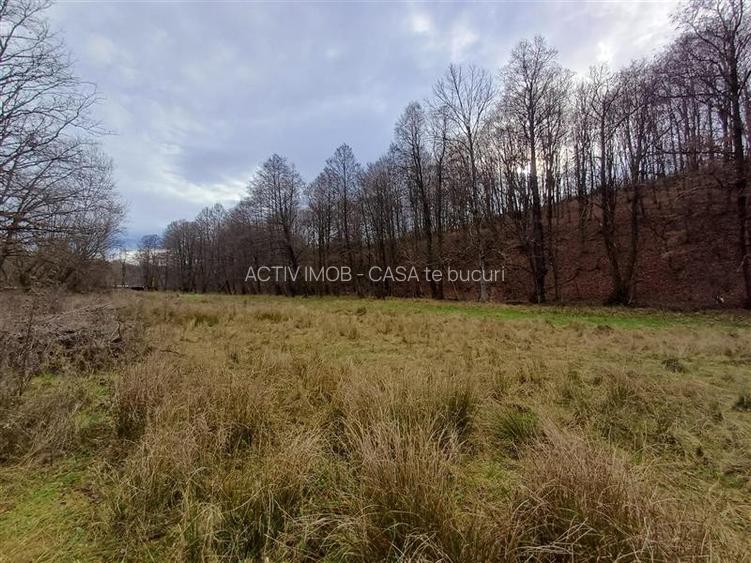 Resita, Teren Drept Intravilan, Langa Prau si Drum, Parcelabil, 4500 Mp., 15 Eur - 9