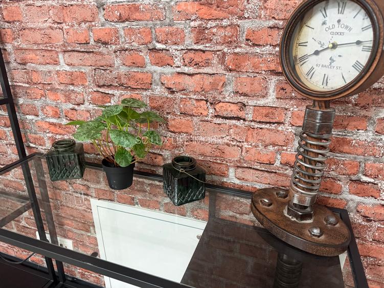 Inchiriez un apartament cu doua camere in Aradului Decatlon 480 euro - 6