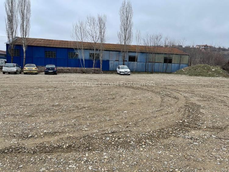 Vand teren cu hale 8.000 mp Sos. Bucium nr. 23 - 15