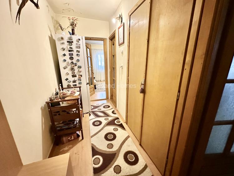 Apartament 1 camera complet mobilat si utilat - Buziasului - 5