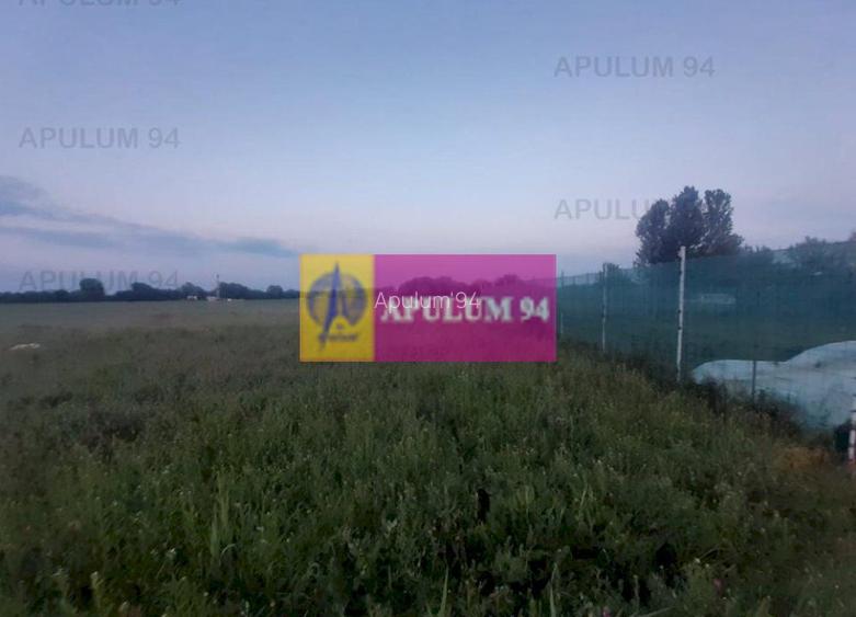 Teren aproape de Bucuresti langa padure - 12