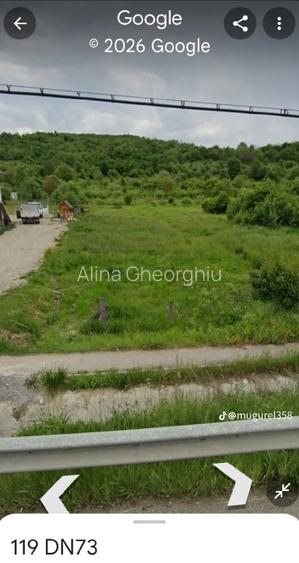 Teren intravilan Rudeni Mihăești Arges  - 3