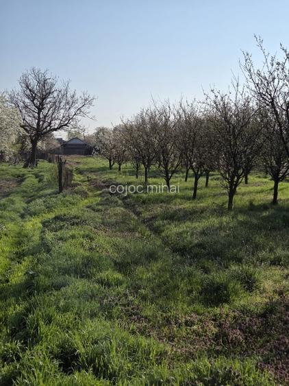 Tartasesti – casa si teren 2.000 mp de vanzare - 3