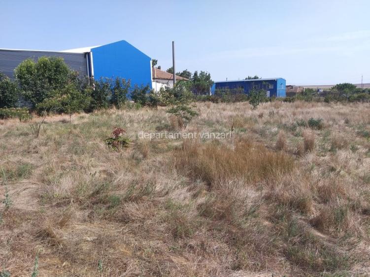 Poiana- str. Cerealelor, teren intravilan curti constructii 3417 mp de vanzare - 10