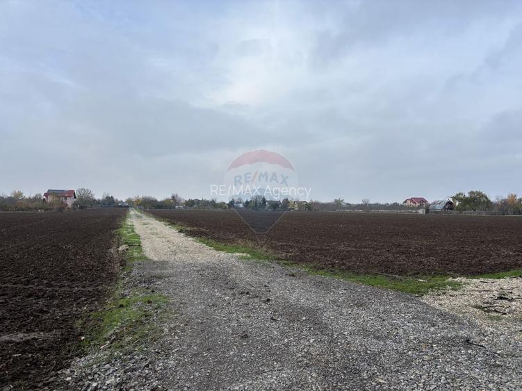 Teren 2,000mp Ciolpani / DN Izvorani - 3