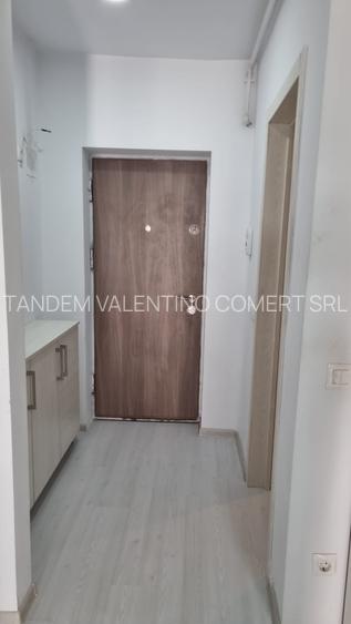 Titan , Parcul Teilor , Str Drumul Gura Siriului - 8