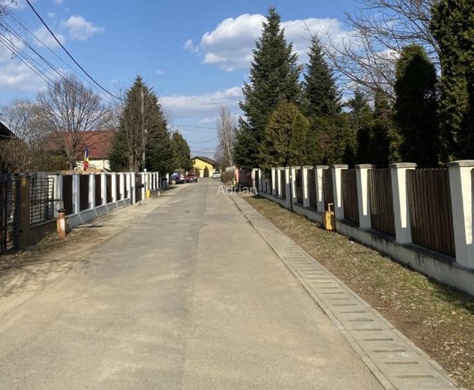 15000 mp padure! - 2