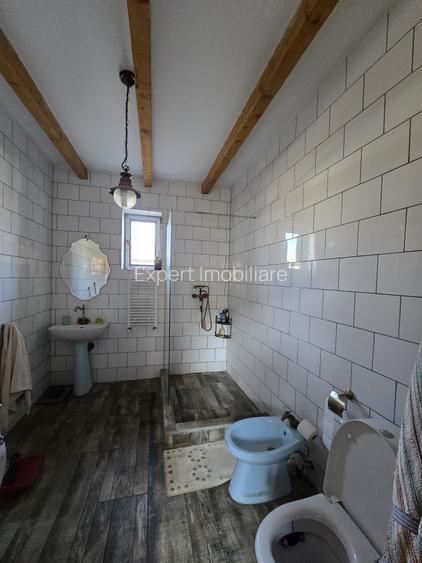 Casa de vacanta zona Cazasu - 6