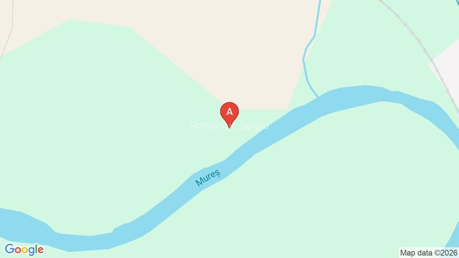 Casa cu etaj ,mansarda,anexe  - 12