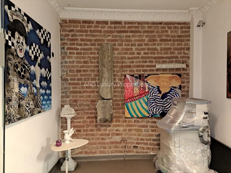 SPATIU PENTRU REZIDENTIAL,BIROURI NOTARIAT SAU CLINICA CISMIGIU - 10