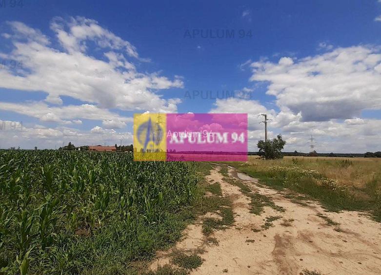 Teren 715mp în Snagov lângă Equestria - 47