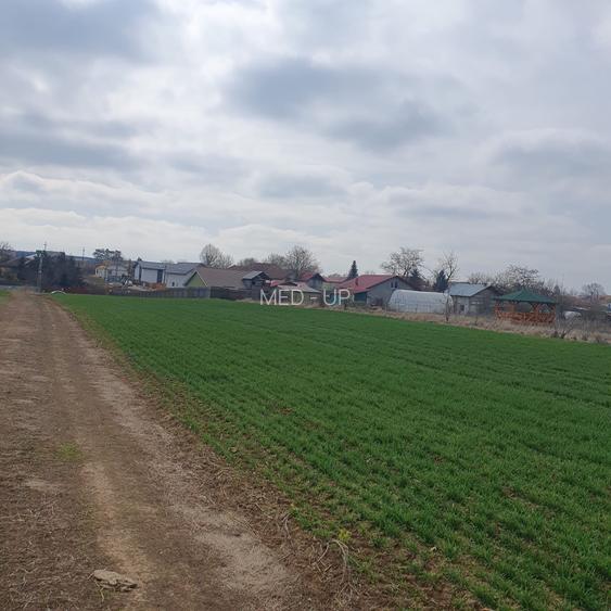 Tâncăbești -Ilfov suprafață 4500 mp - 2