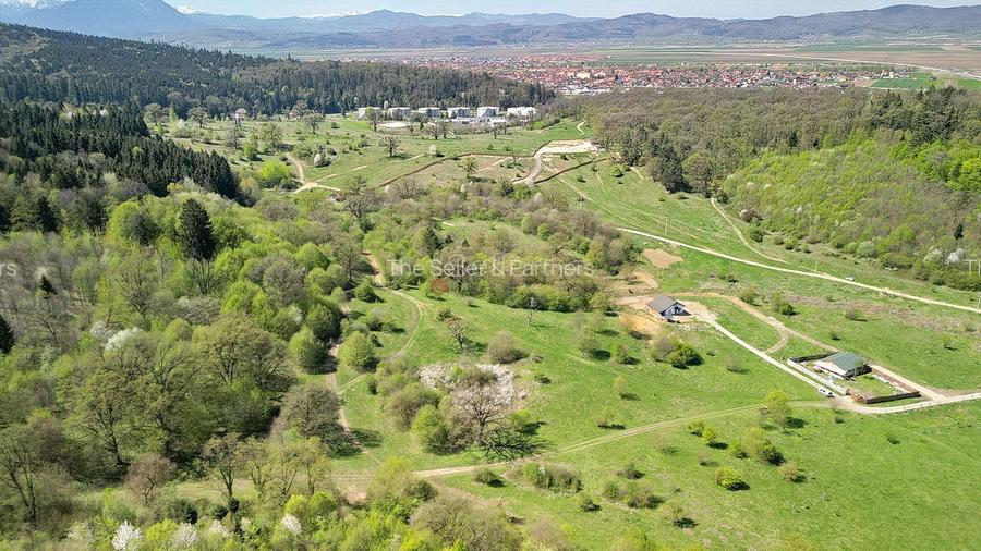 Teren Intravilan parcele 1000mp - 8