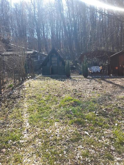 Spre vanzare cabana+ teren intravilan 1050mp pretabil casa de vacanta/locuinta - 15