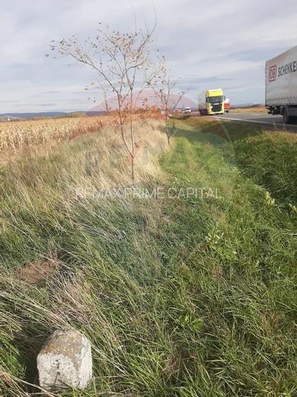 De vanzare teren intravilan, in Sabolciu, cu deschidere la E60 - 6