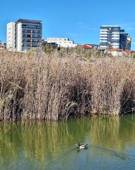 Comision 0% | Fără TVA  - Apartment 2 Camere Premium | Vedere Lac - Mare - 13