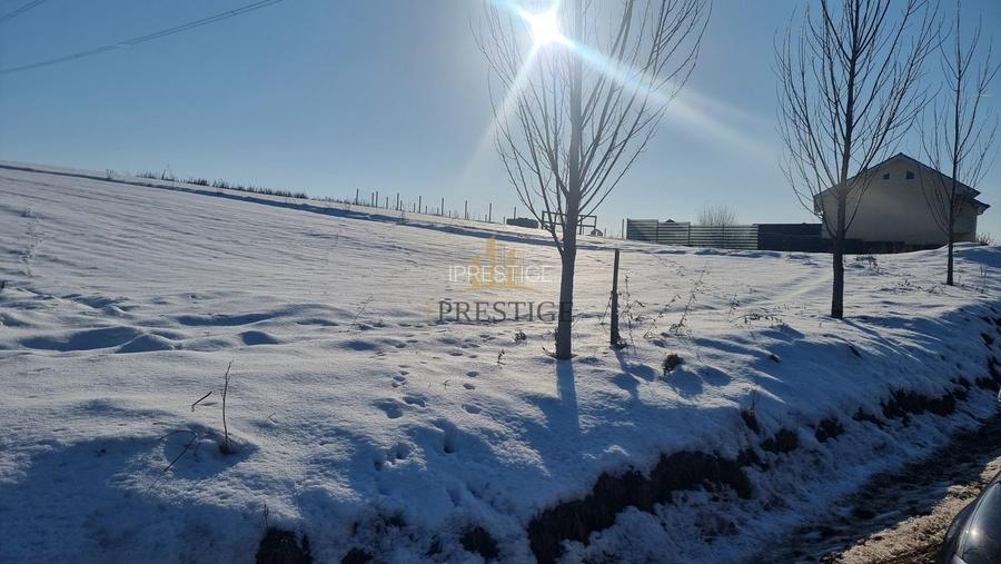 FĂRĂ COMISION | TEREN 6695 MP ÎN ȘURA MARE - 5