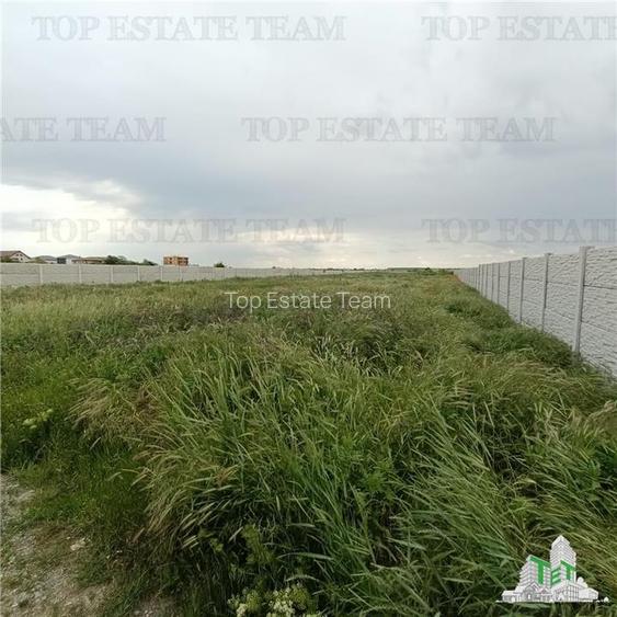 Teren intravilan 10562 mp de vanzare/ Bragadiru - 7