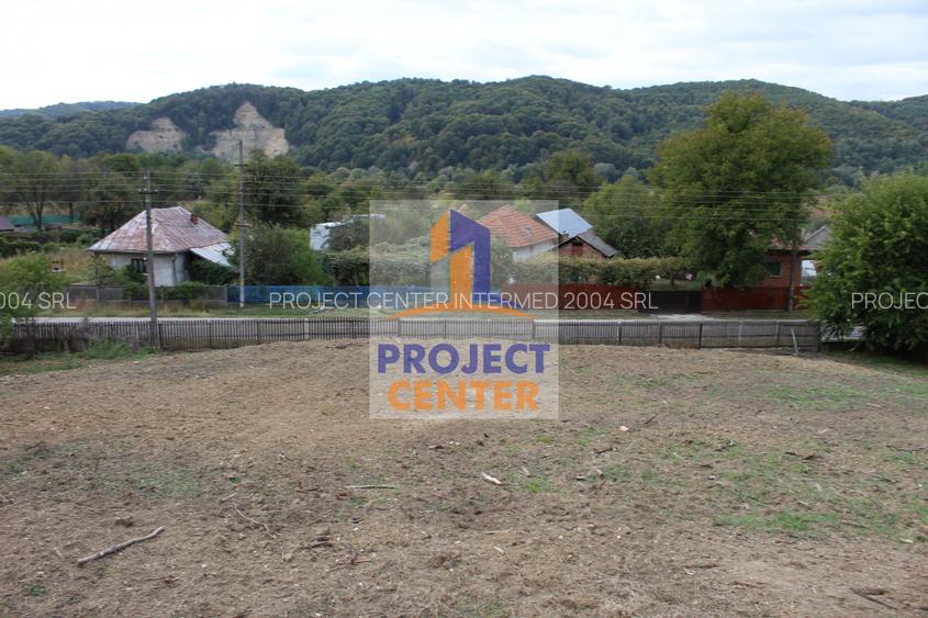 Casa si teren 5.000 mp, Stroesti - 15