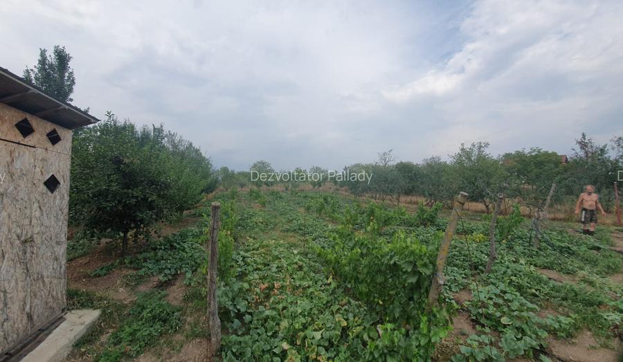 Teren 1100mp la 30 km de Bucuresti - 8