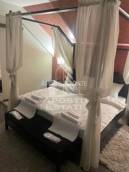 Casa individuala , piscina si jacuzzi, LUX,  zona Calea Aradului - 21