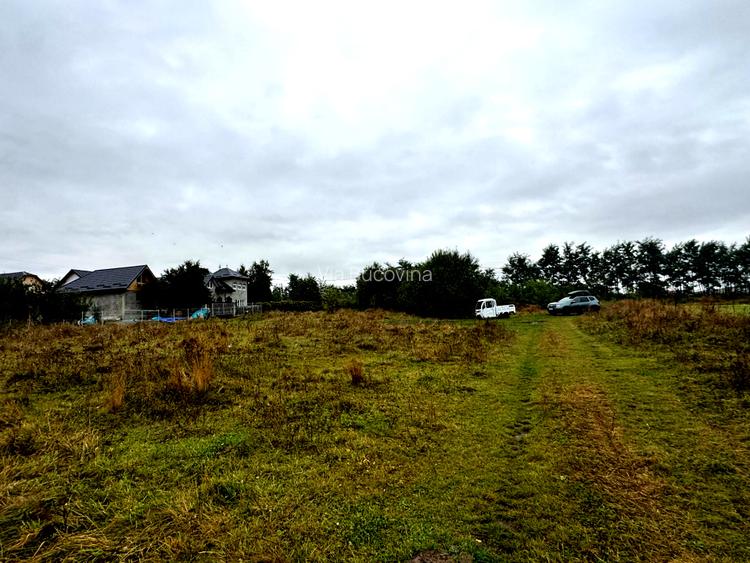 Vanzare 10.000 mp teren Liteni Suceava- la strada -potrivit proiect fonduri - 11