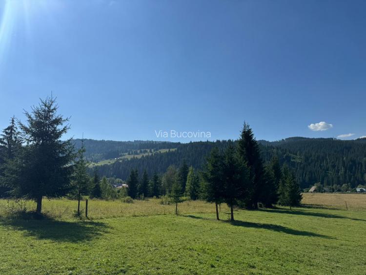 Vanzare 16700 - 9 loturi - Plaiul Sarului la sosea- microdezvoltare langa oras - 15