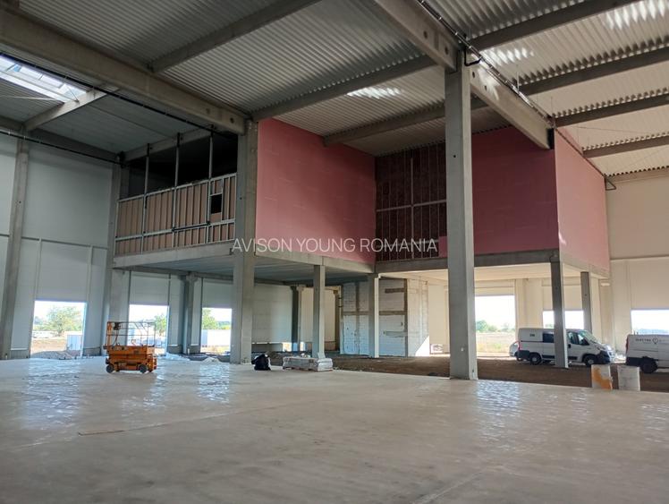 Inchiriere depozit Clasa A - Arad - spatii intre 2.000mp si 12.000mp - 6