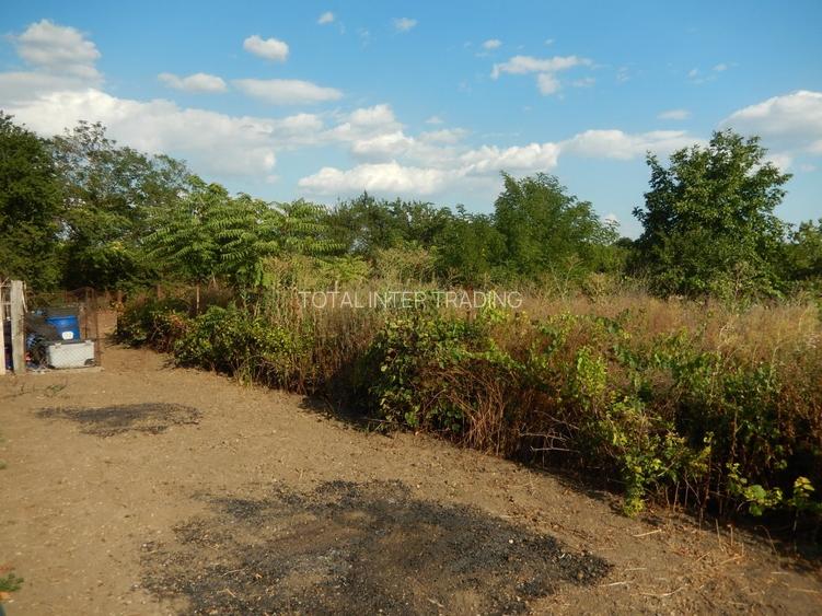 Calugareni-Branistari-casa 4 camere, teren 1965 mp, curent, put, libera,69900 € - 31