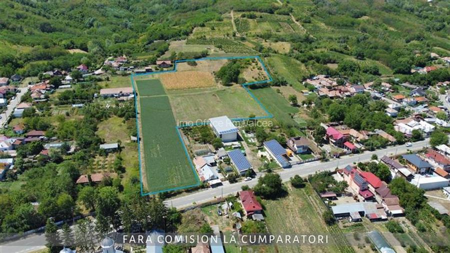 OPORTUNITATE UNICA IN DOMENIUL VITICOL - 13