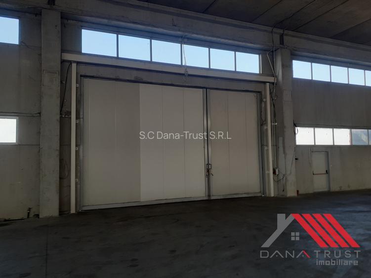 Hala depozitare  - Logistica  C. Lugojului acces TIR - 6