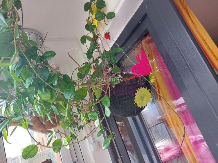 Garsionera mobiliata, metrou Grigorescu, la pret extraodinar - 5