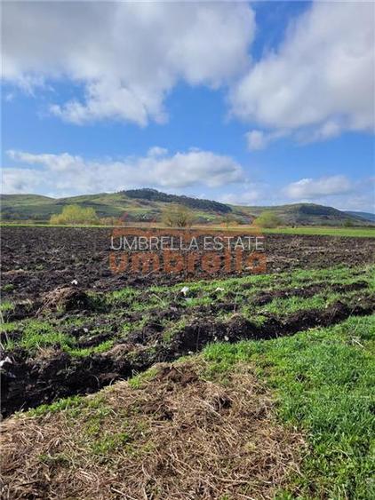 Teren de vanzare 2 parcele total 18.000m²/50€ m² Gherla ! - 4