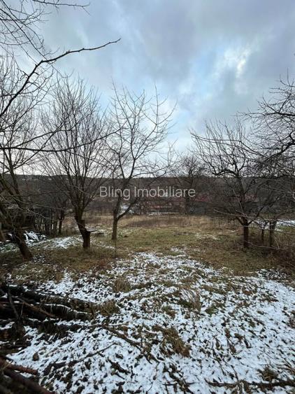 Casa veche in Suceagu cu teren 1715 mp2 - 3