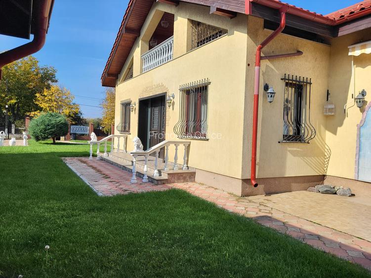 Vilă cu mobilă exotică și artă caraibiană – Snagov/Ciofliceni, aproape de lac - 11