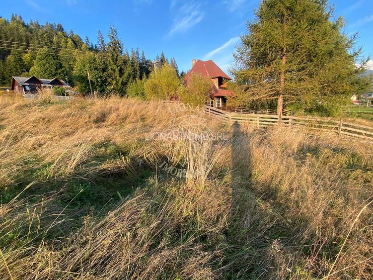 Teren Intravilan 1000mp-panorama-oportunitate investitie-Colibita - 6