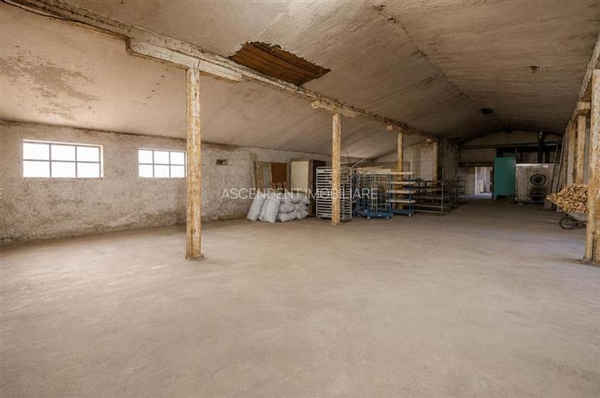 Spatiu comercial+afacere functionala: brutarie,rute de distributie,Ghelinta - 12