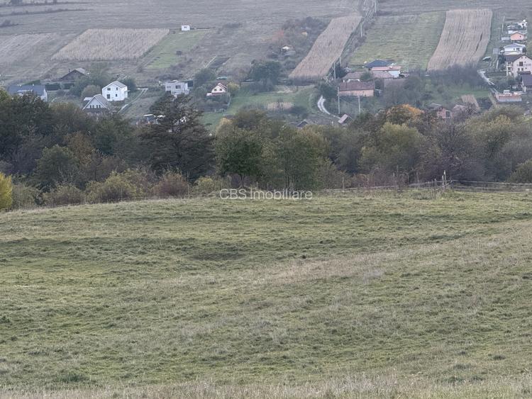 Teren extravilan de vanzare in Salicea 916mp+84mp drum necesita PUZ - 10