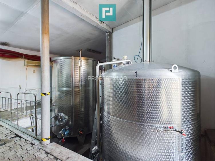 Pivnițele Birăuaș D.O.C Miniș - RATE FĂRĂ DOBÂNDĂ - 21