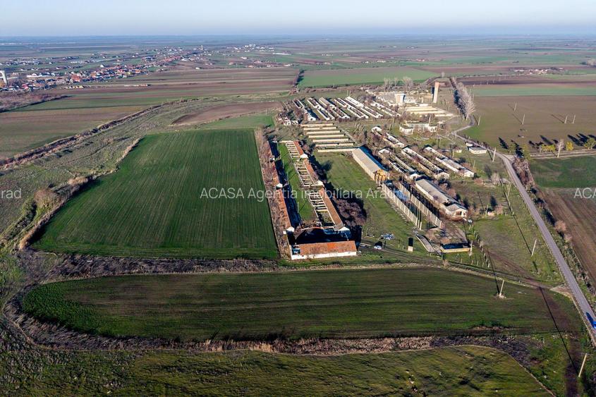 Ferma 1.15 HA lângă DN7 & Autostrada E68 – Nădlac | clădiri+utilități - 3