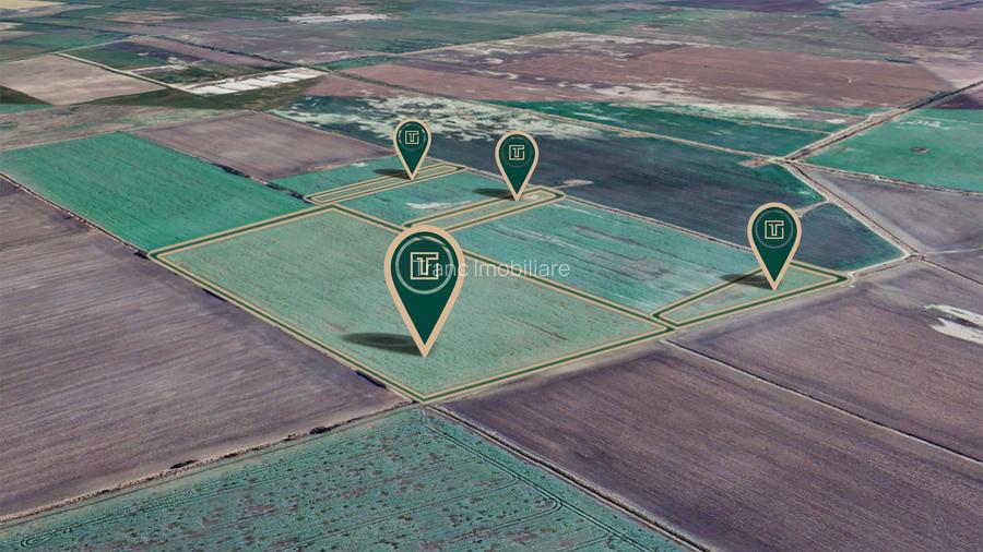 Teren agricol de 11,75 ha de vânzare, la 1,5 km de Turnu, jud. Arad - 4